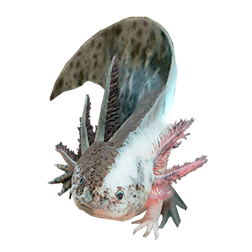 Chimera Axolotl Morph